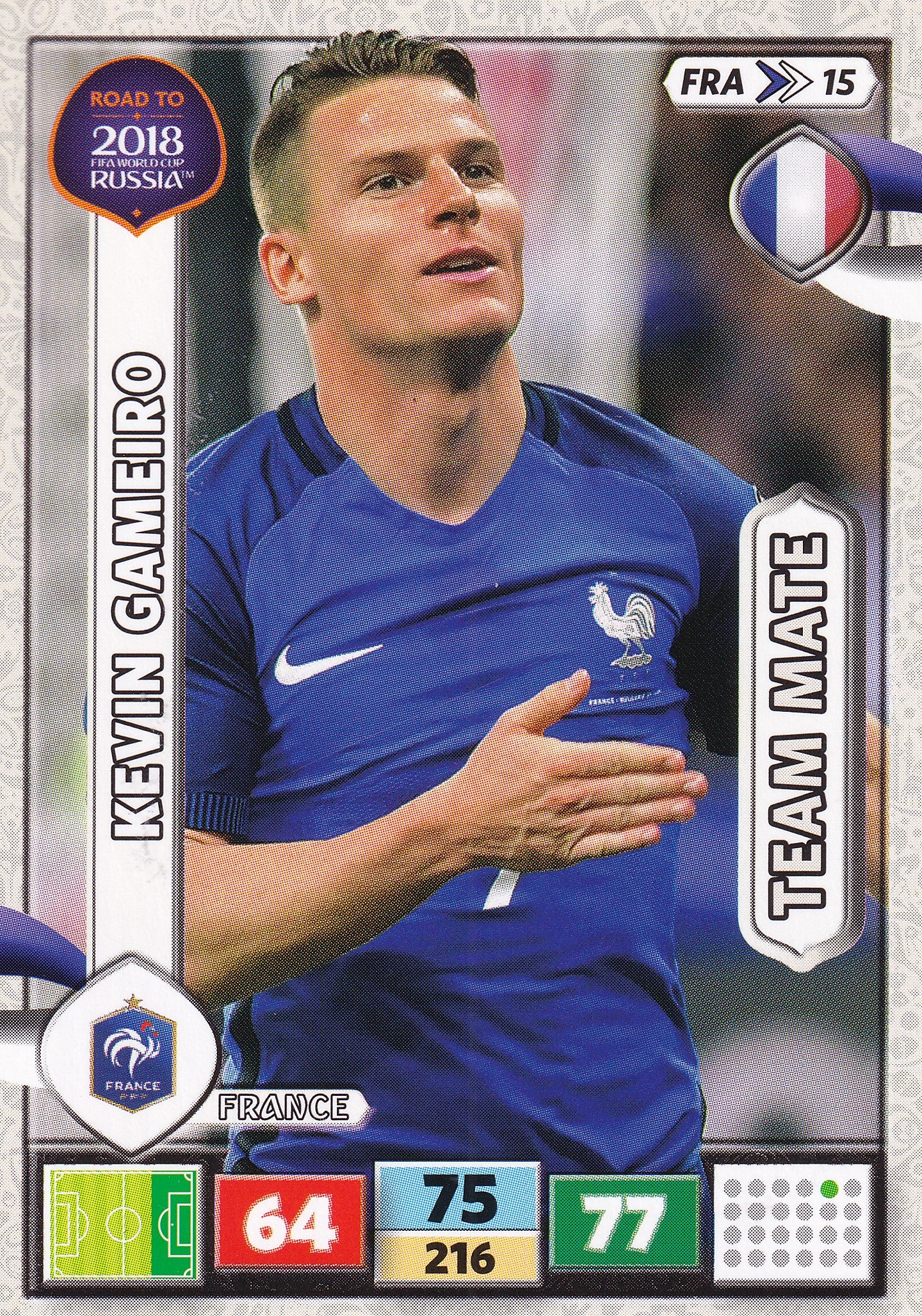 FRA-15. KEVIN GAMEIRO - FRANCE