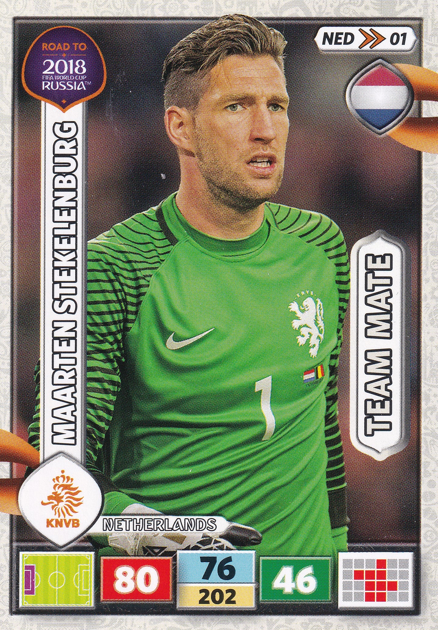 NED-01. MAARTEN STEKELENBURG - NETHERLANDS