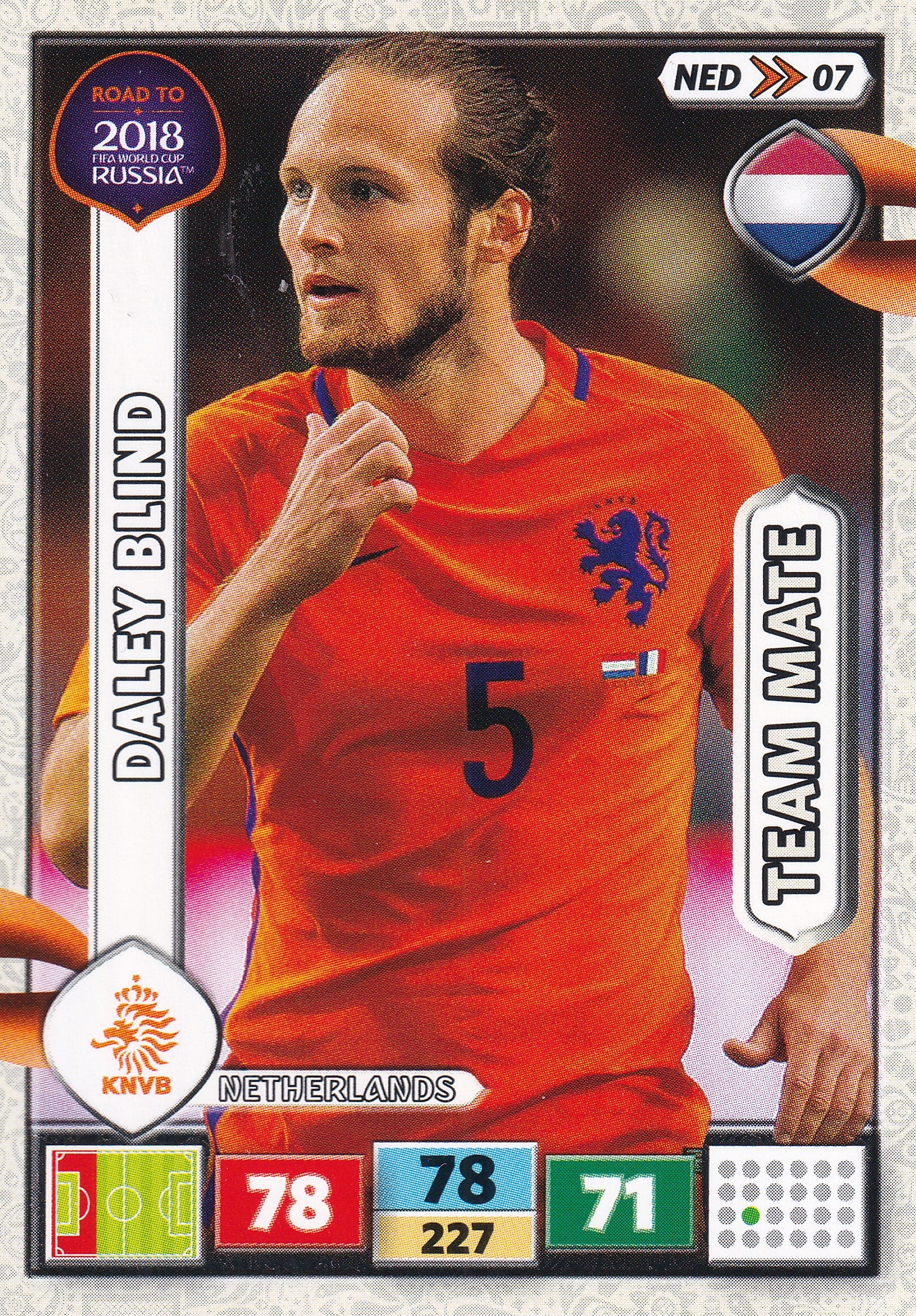 NED-07. DALEY BLIND - NETHERLANDS