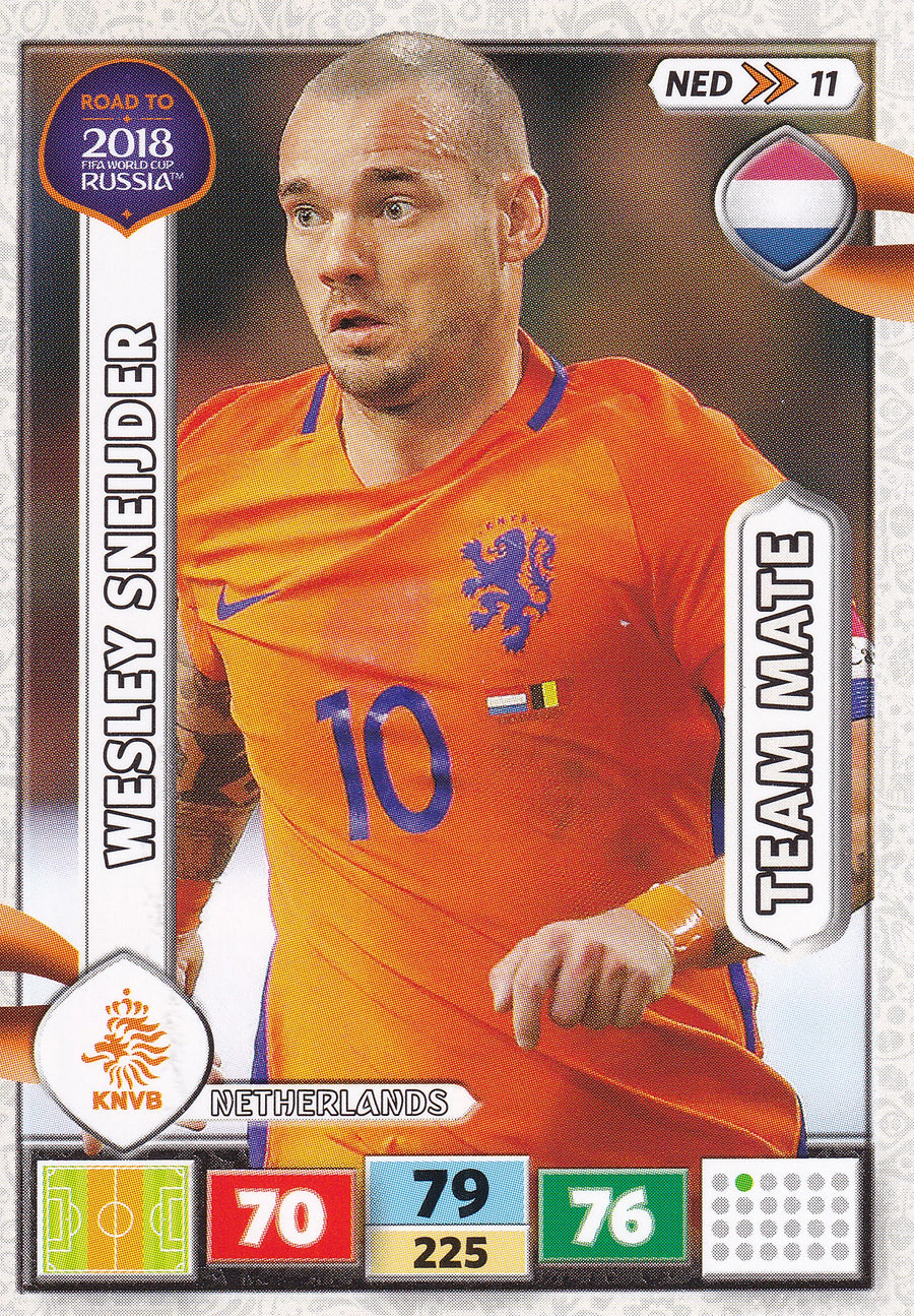 NED-11. WESLEY SNEIJDER - NETHERLANDS