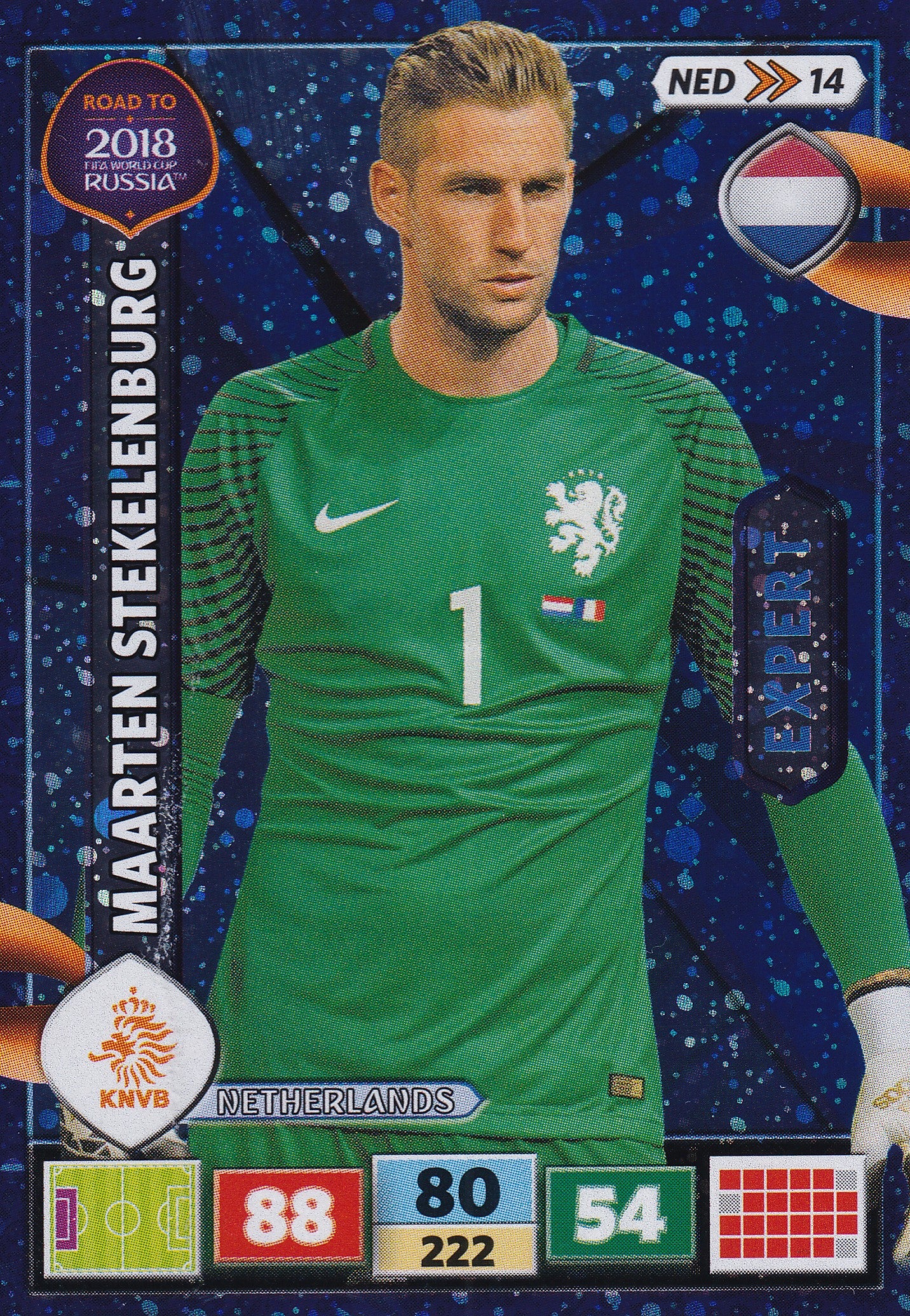 NED-14. MAARTEN STEKELENBURG - NETHERLANDS - EXPERT