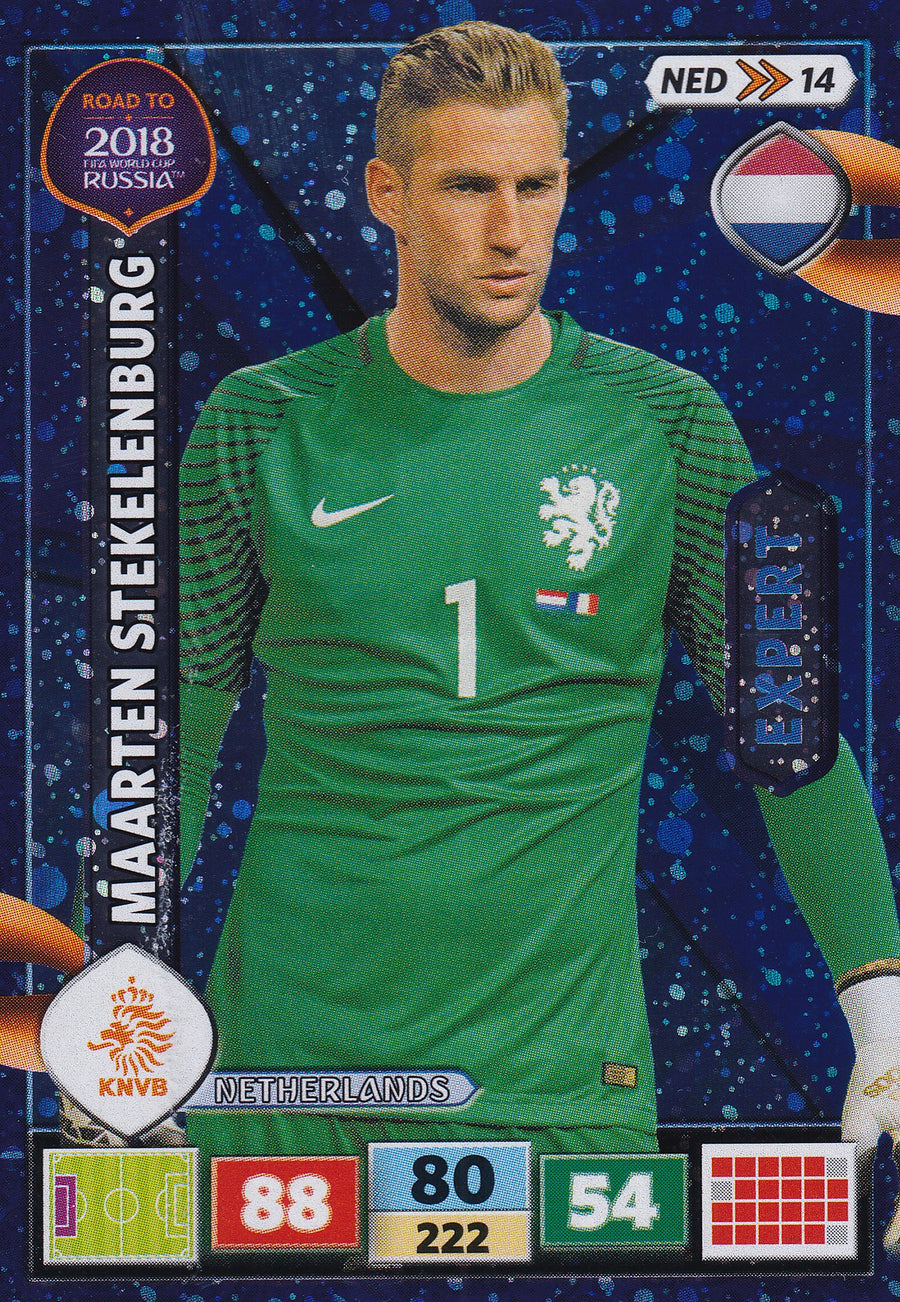 NED-14. MAARTEN STEKELENBURG - NETHERLANDS - EXPERT