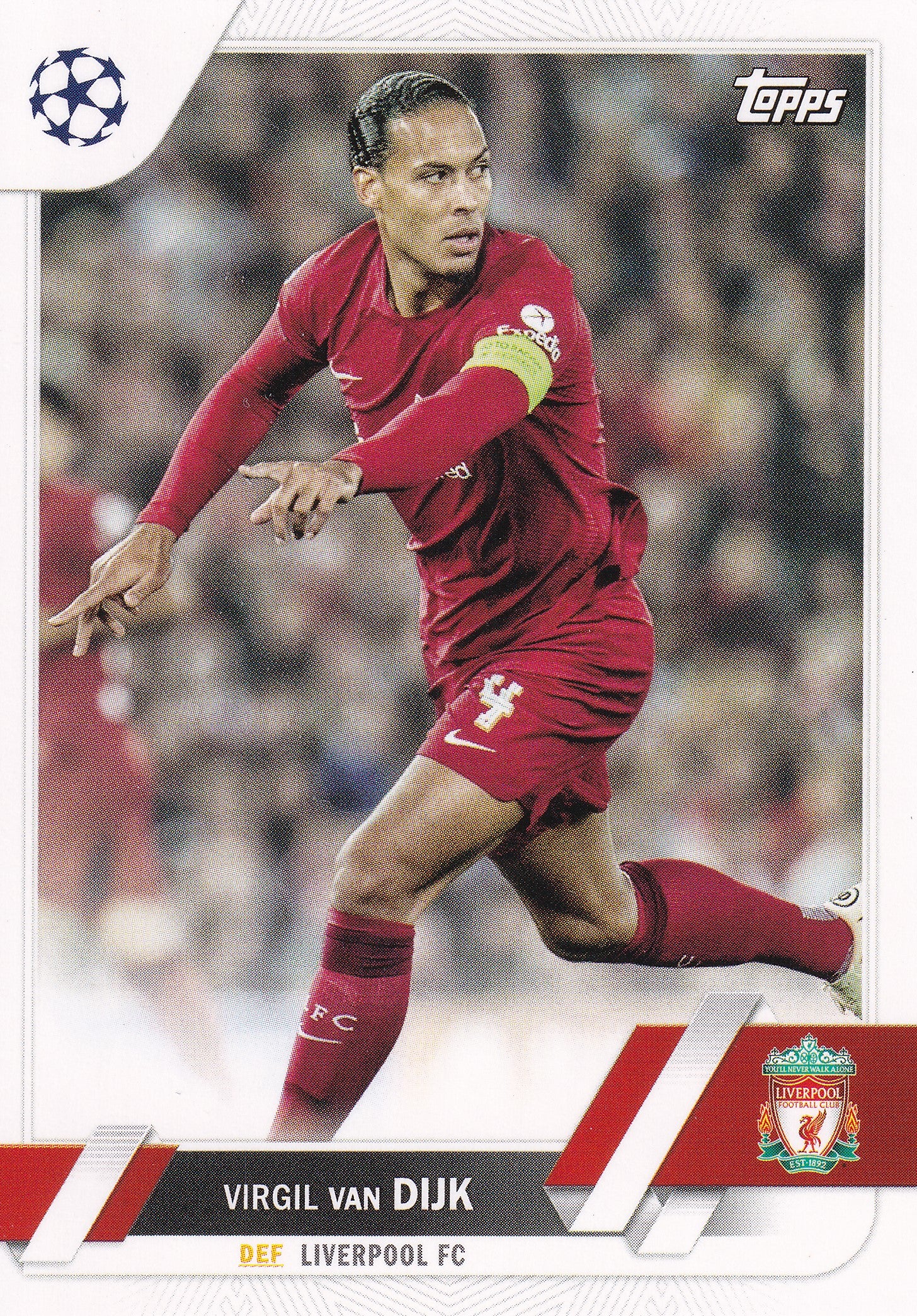 130. VIRGIL VAN DIJK - LIVERPOOL FC