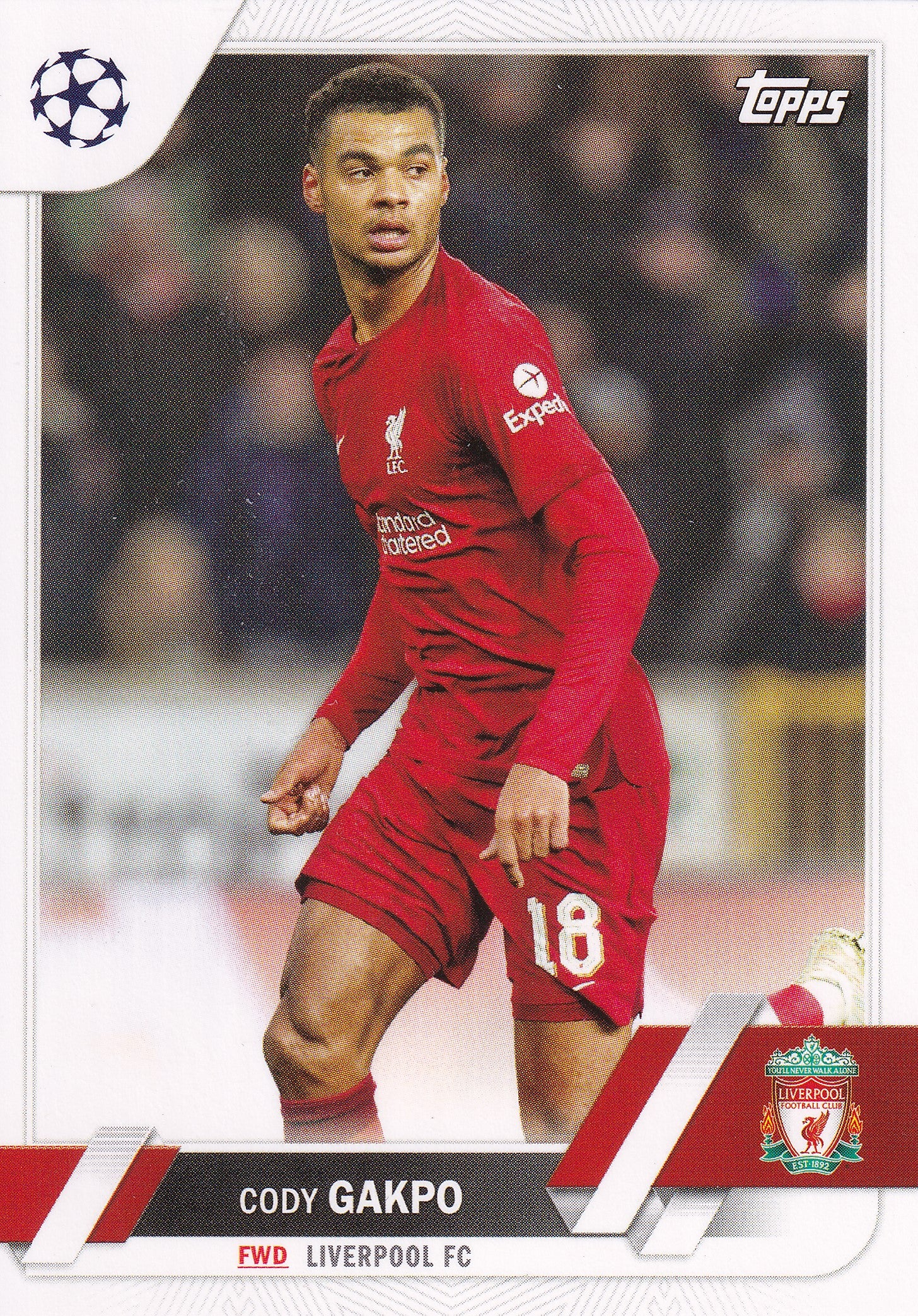 102. CODY GAKPO - LIVERPOOL FC