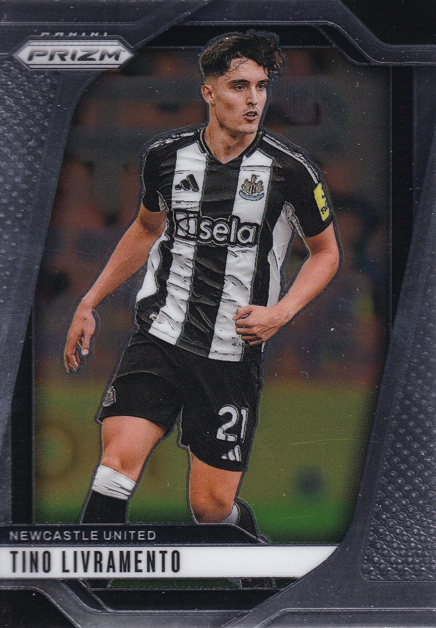 119. TINO LIVRAMENTO - NEWCASTLE UNITED