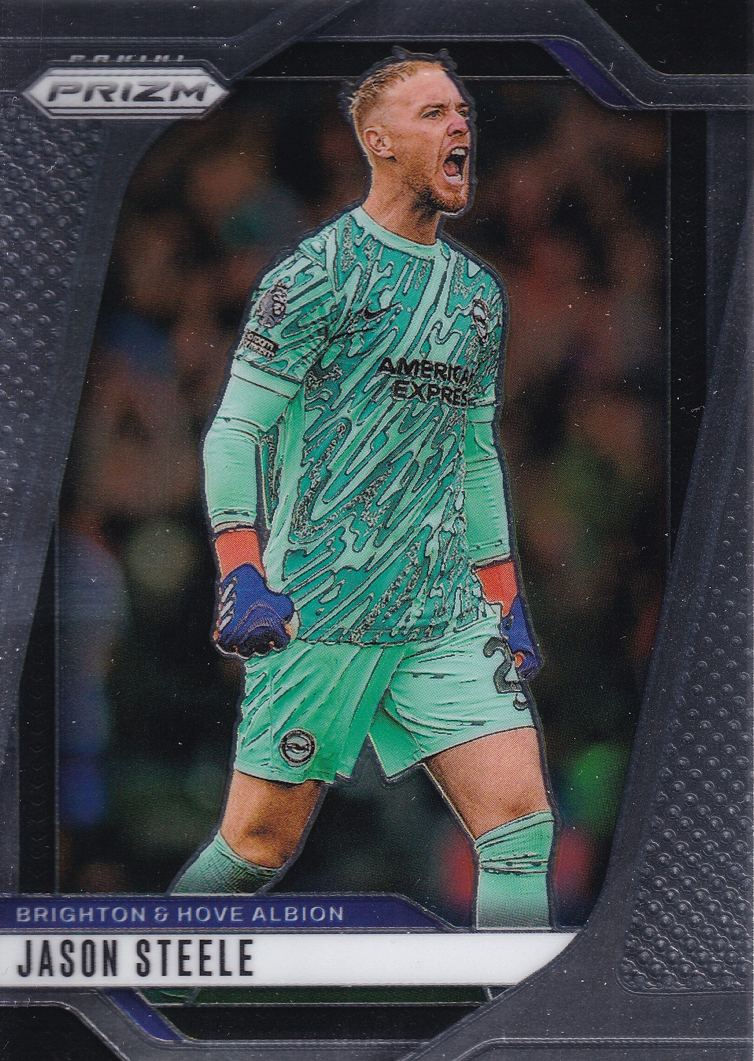 186. JASON STEELE - BRIGHTON & HOVE ALBION