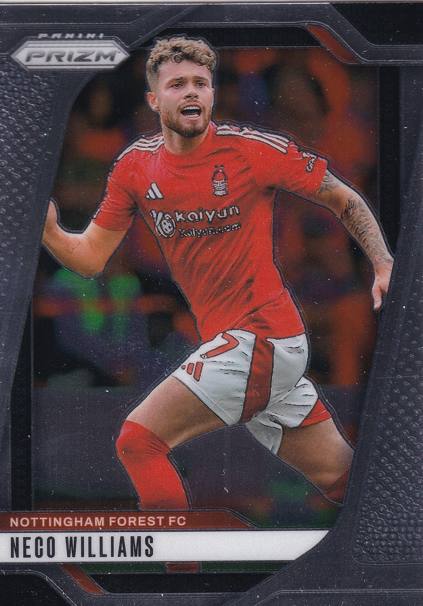 254. NECO WILLIAMS - NOTTINGHAM FOREST FC