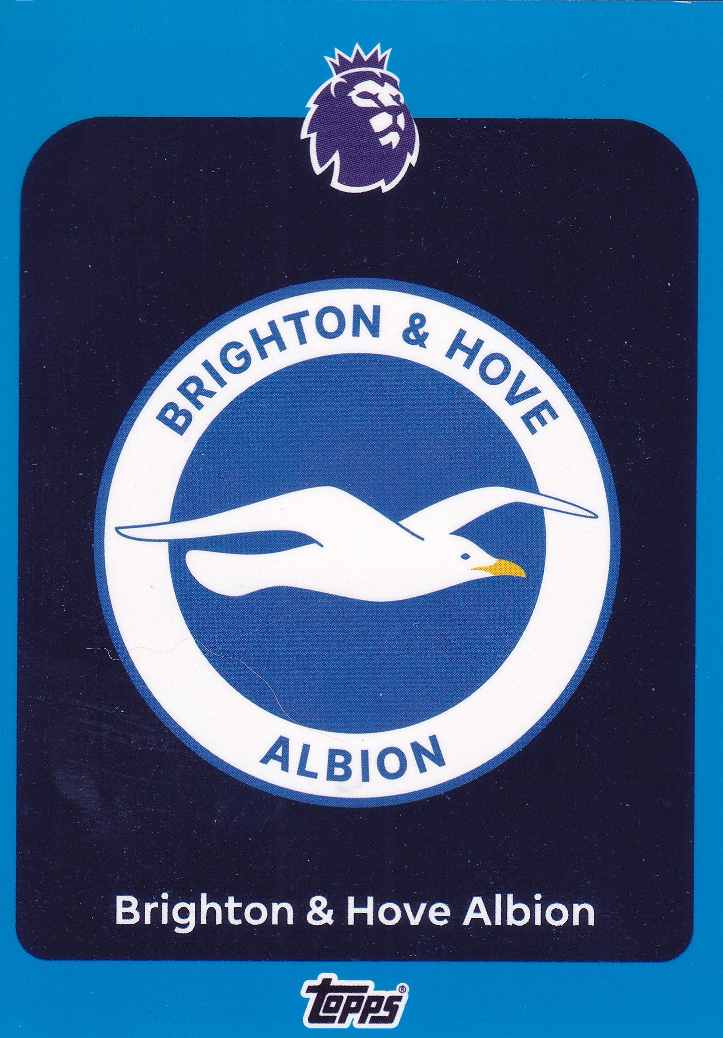 073. BRIGHTON & HOVE ALBION - BLUE PARALLELL