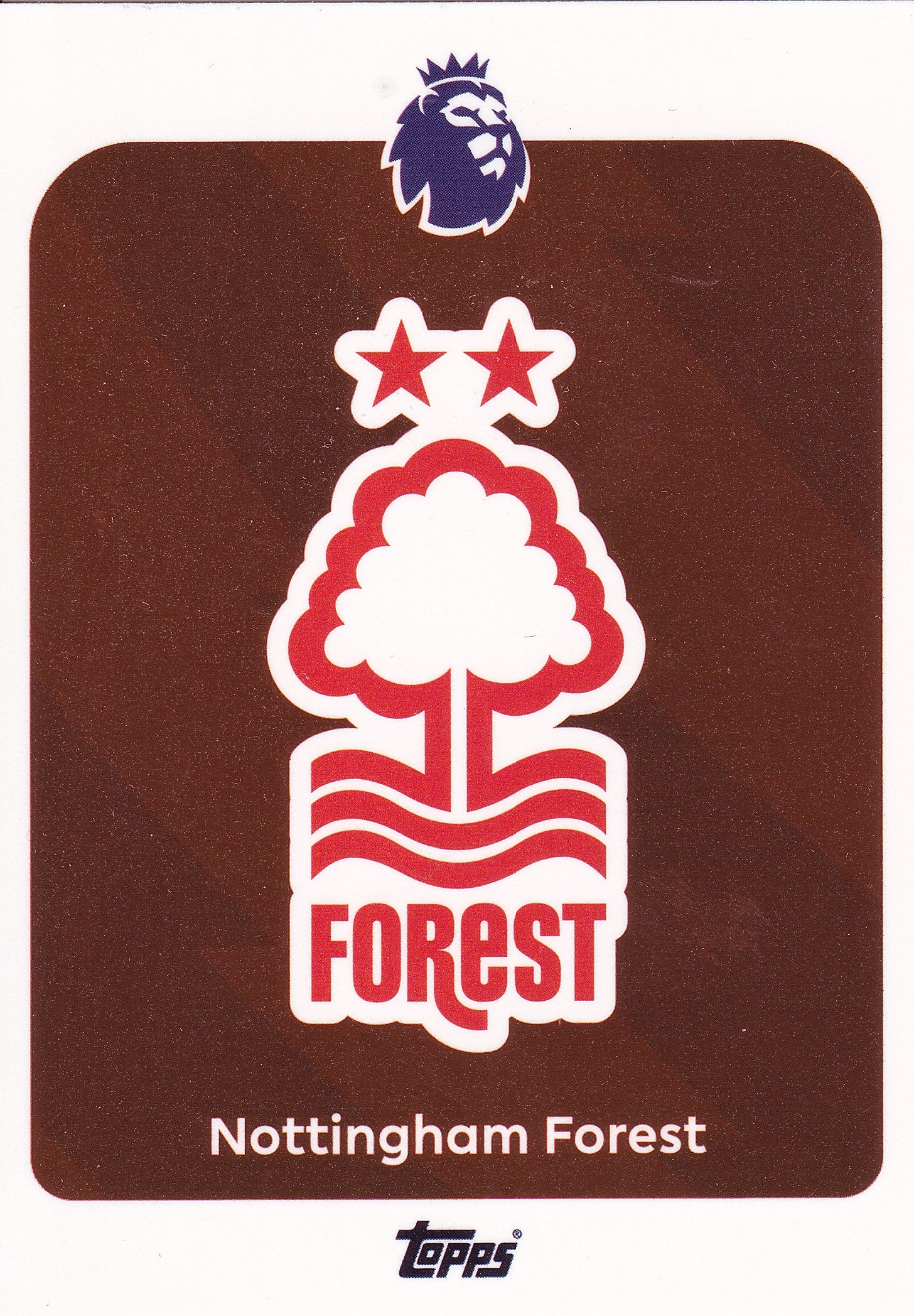 235. NOTTINGHAM FOREST - BADGE