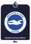 073. BRIGHTON & HOVE ALBION - BADGE