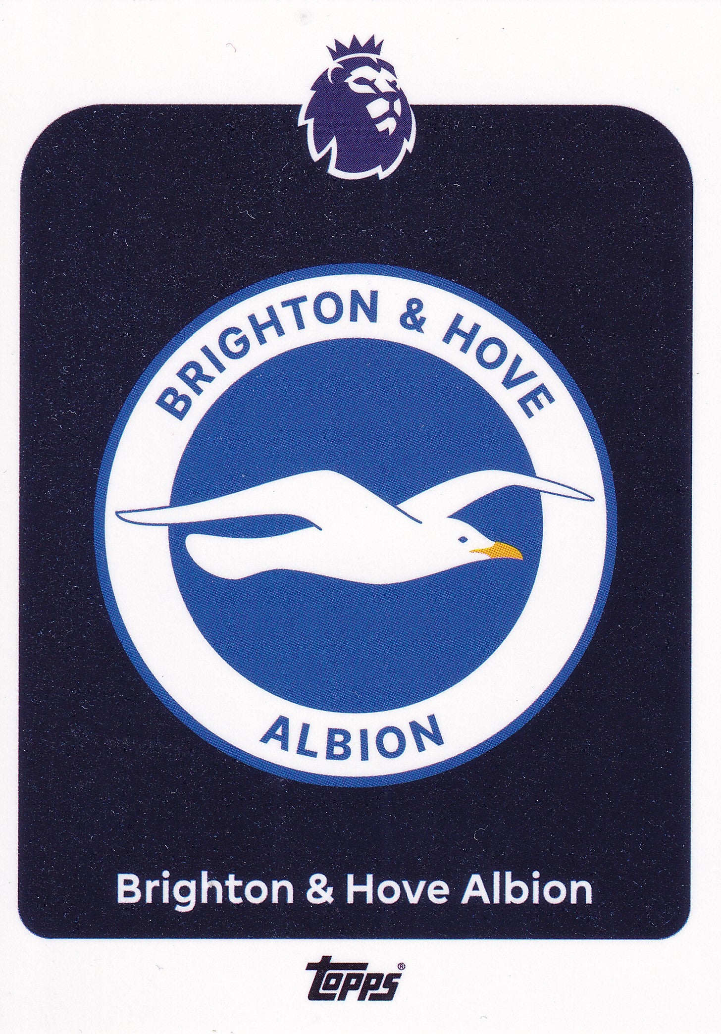 073. BRIGHTON & HOVE ALBION - BADGE