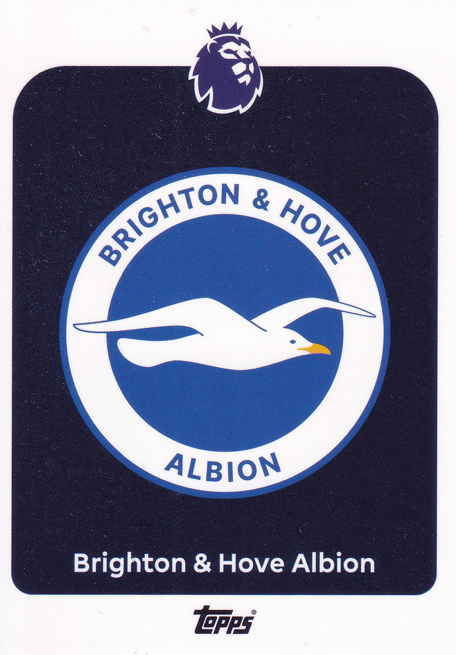 073. BRIGHTON & HOVE ALBION - BADGE