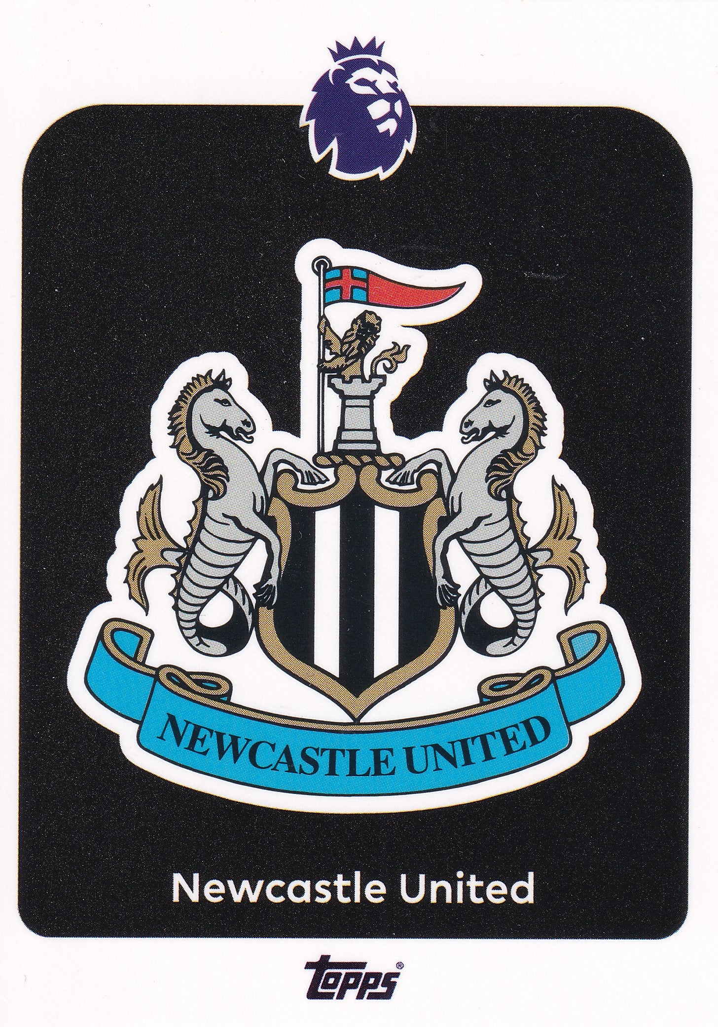 217. NEWCASTLE UNITED - BADGE