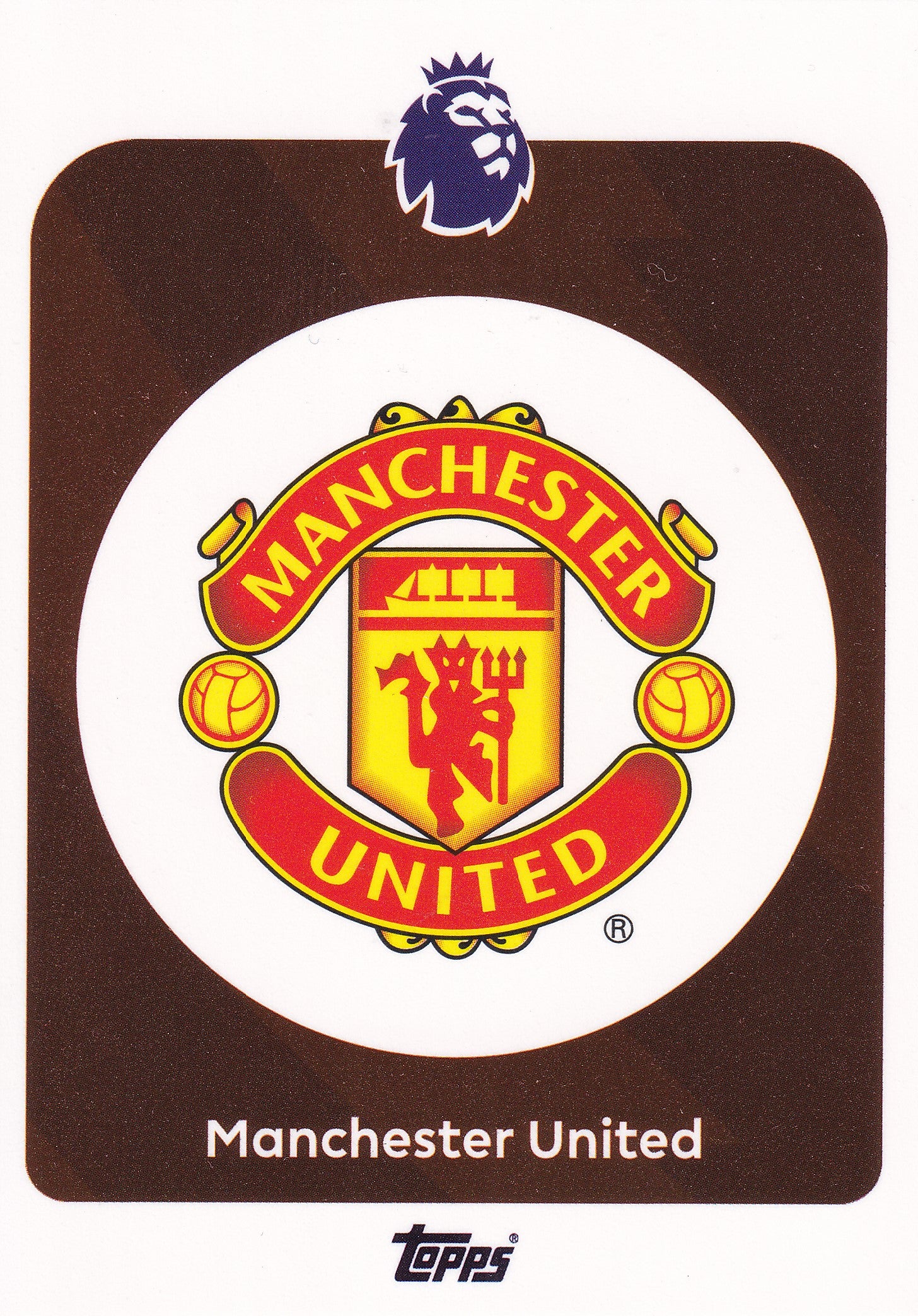 199. MANCHESTER UNITED - BADGE