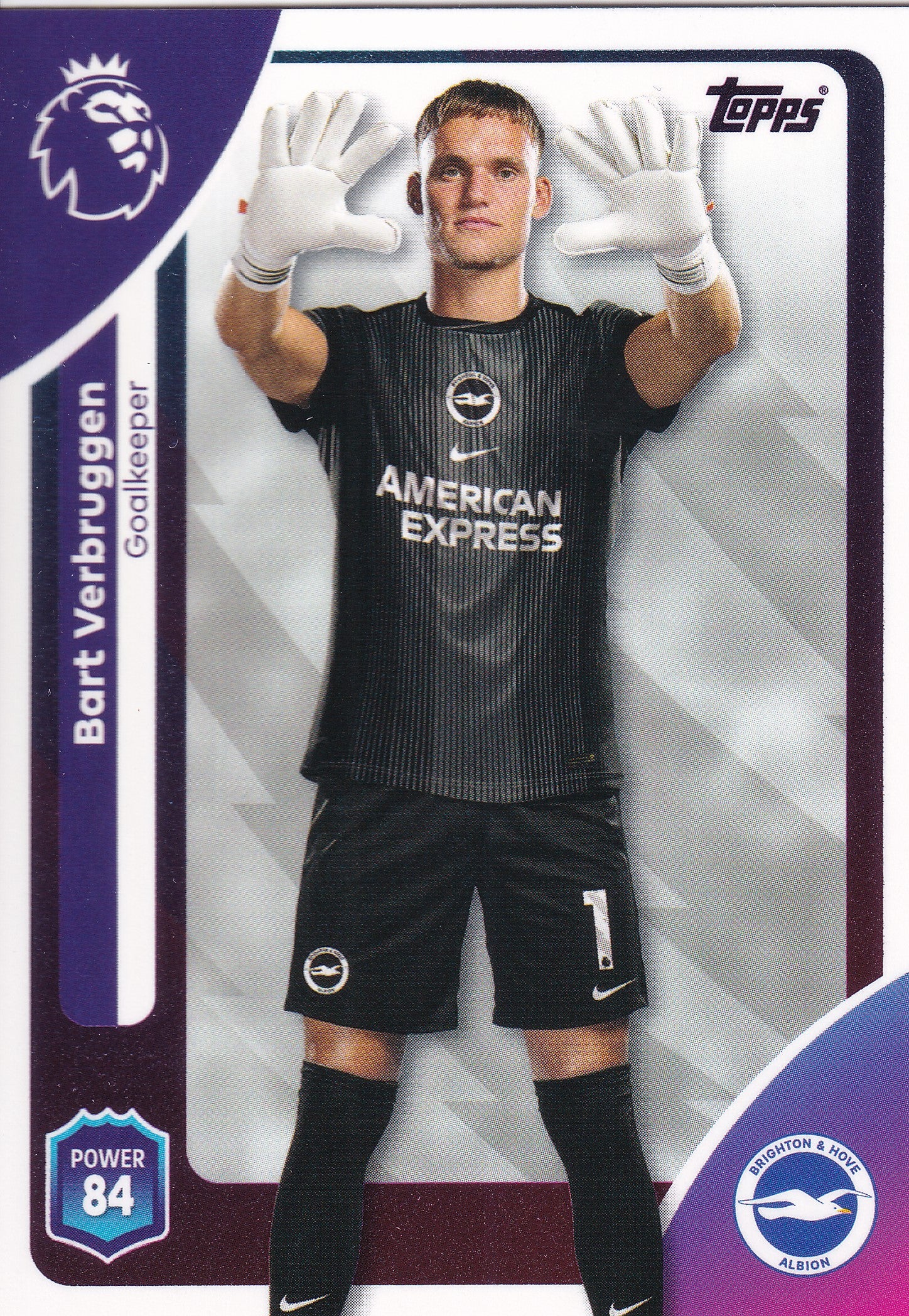 074. BART VERBRUGGEN - BRIGHTON & HOVE ALBION