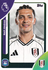 159. RAUL JIMENEZ - FULLHAM
