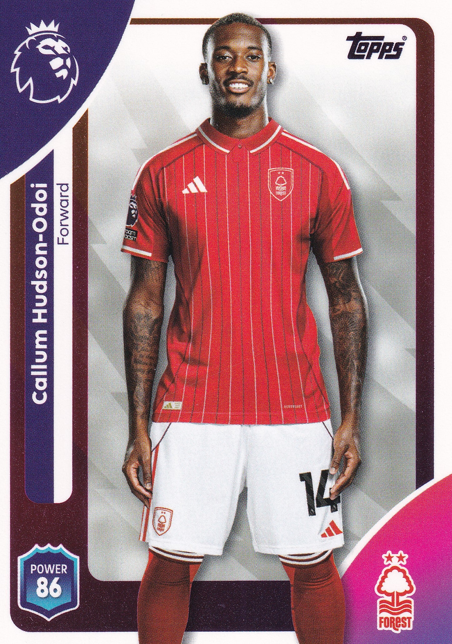 246. CALLUM HUDSON-ODOI - NOTTINGHAM FOREST