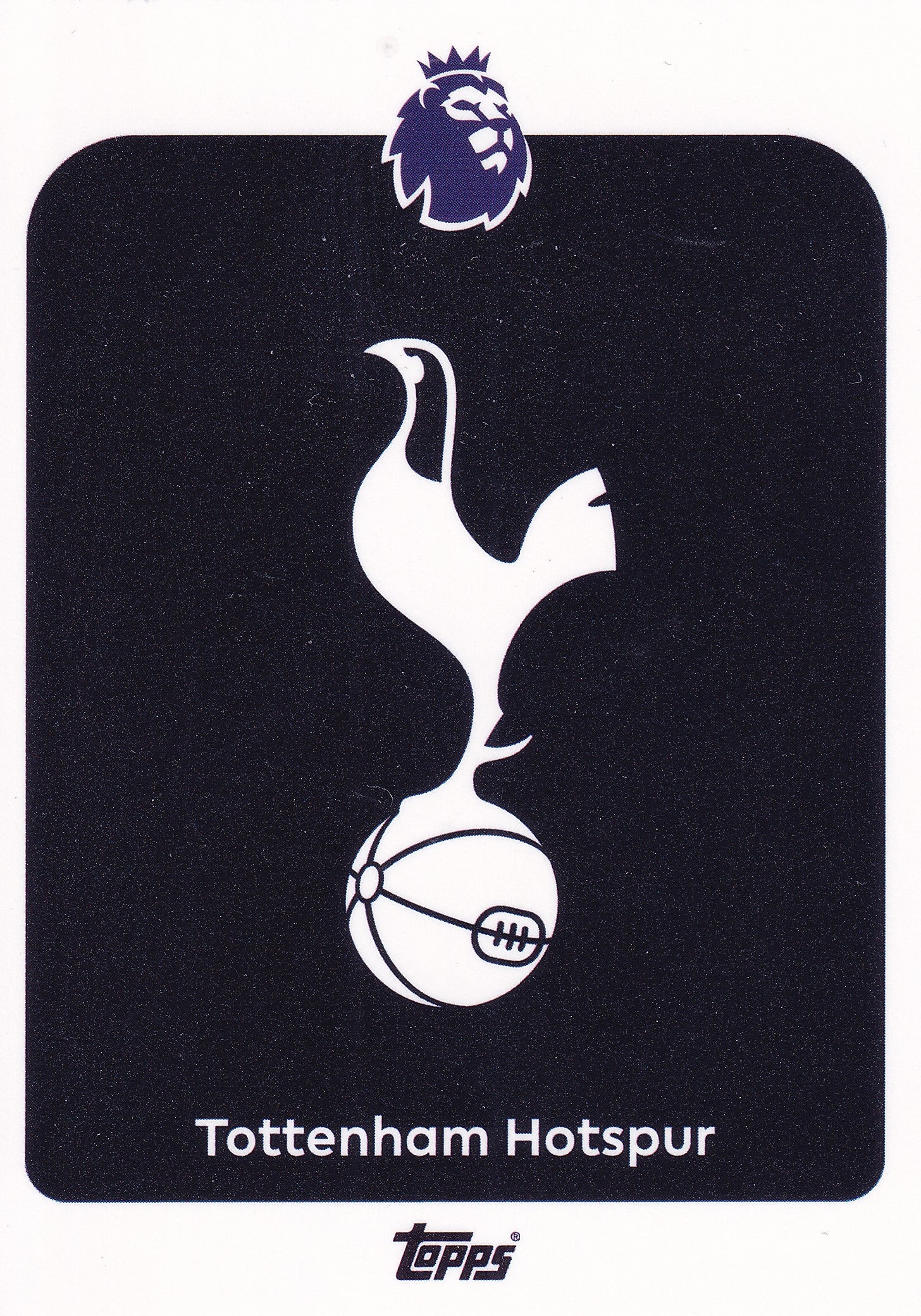 253. TOTTENHAM HOTSPUR - BADGE