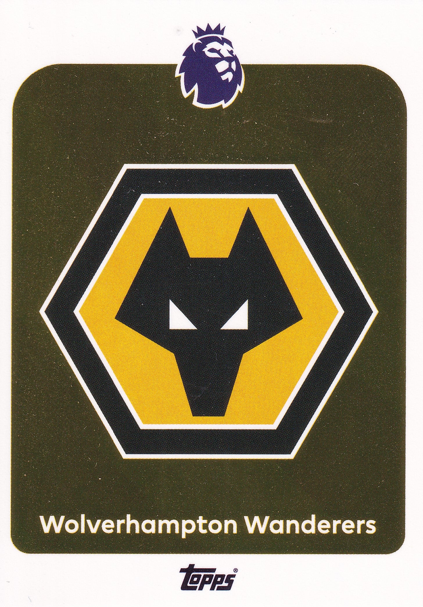 289. WOLVERHAMPTON WANDERERS - BADGE