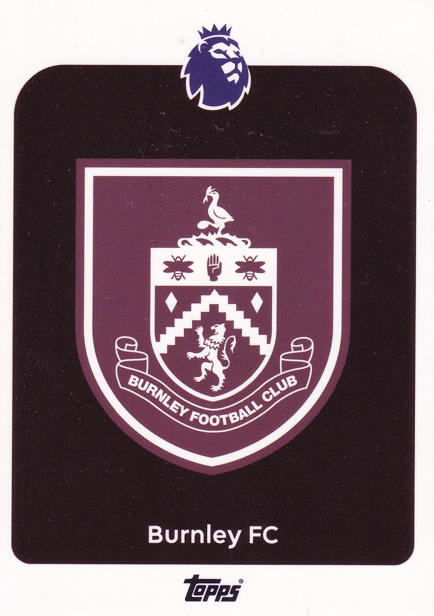 307. BURNLEY FC - BADGE