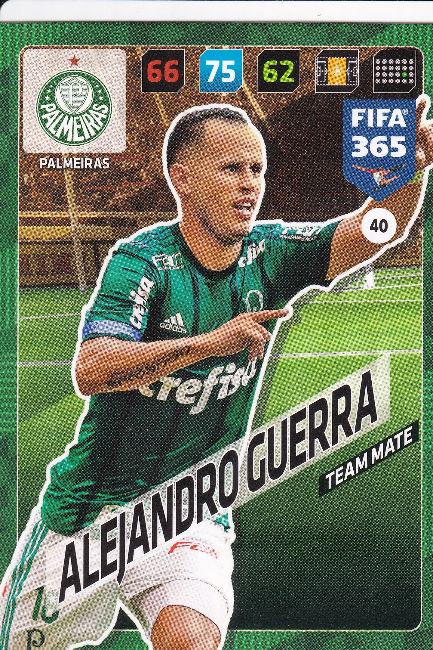 040. ALEJANDRO GUERRA - PALMEIRAS - TEAM MATE