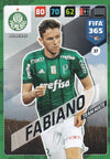 037. FABIANO - PALMEIRAS - TEAM MATE
