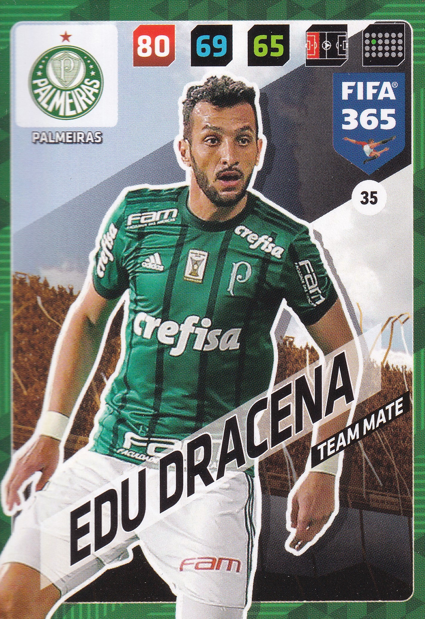 035. EDU DRACENA - PALMEIRAS - TEAM MATE