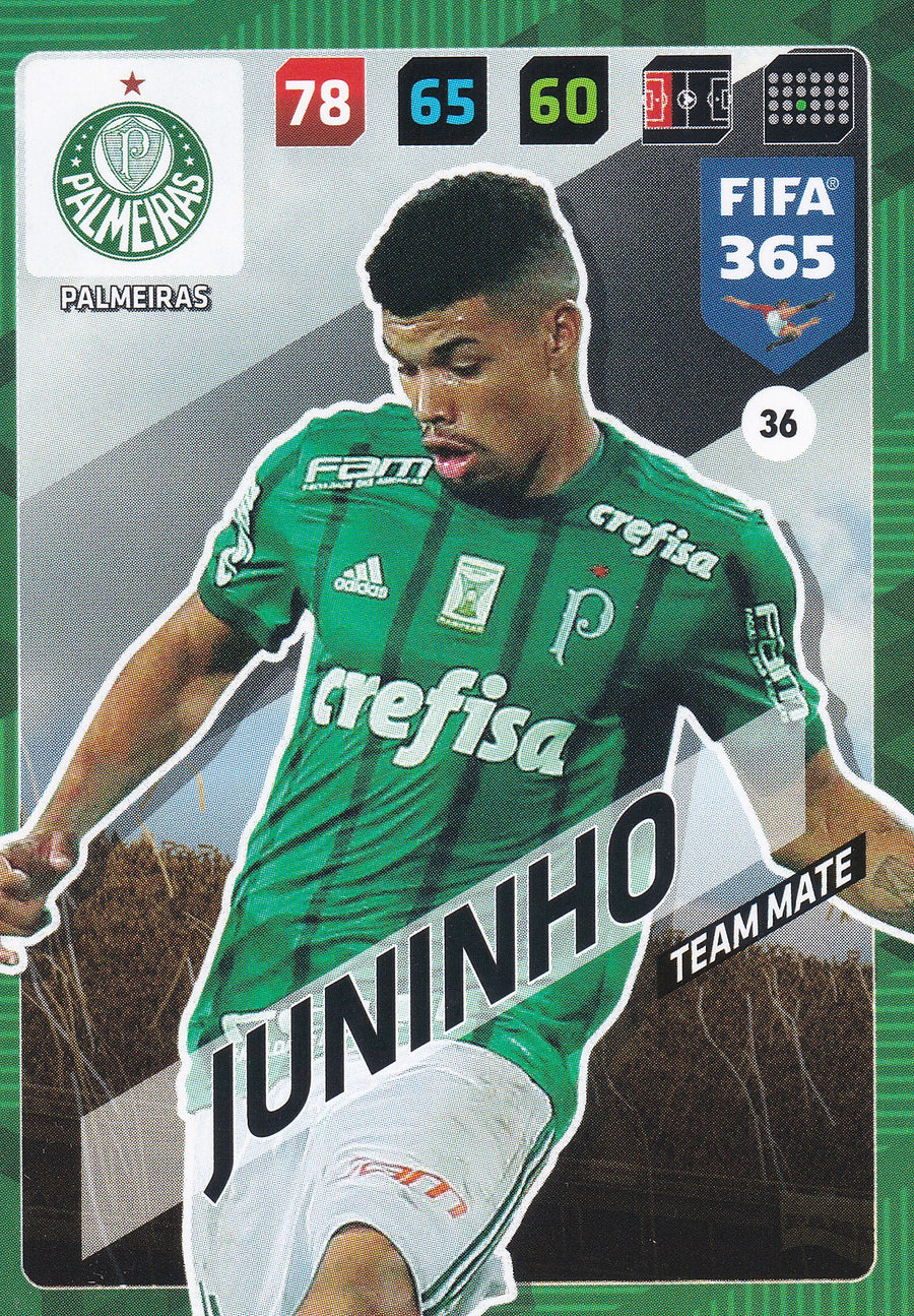036. JUNINHO - PALMEIRAS - TEAM MATE