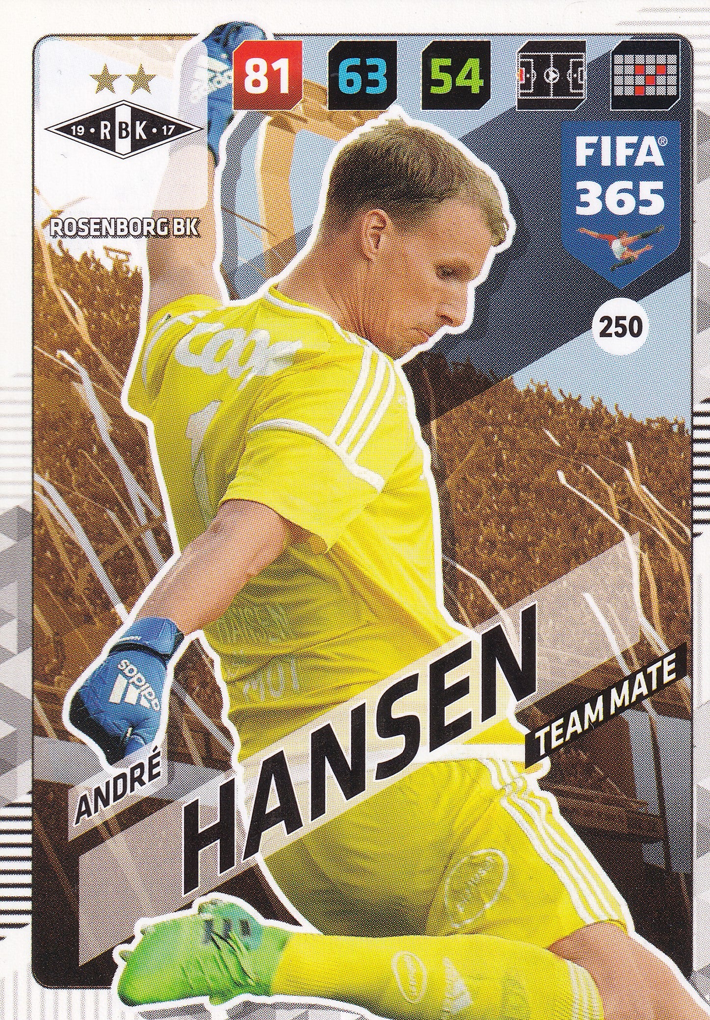 250. ANDRÉ HANSEN - ROSENBORG BK - TEAM MATE