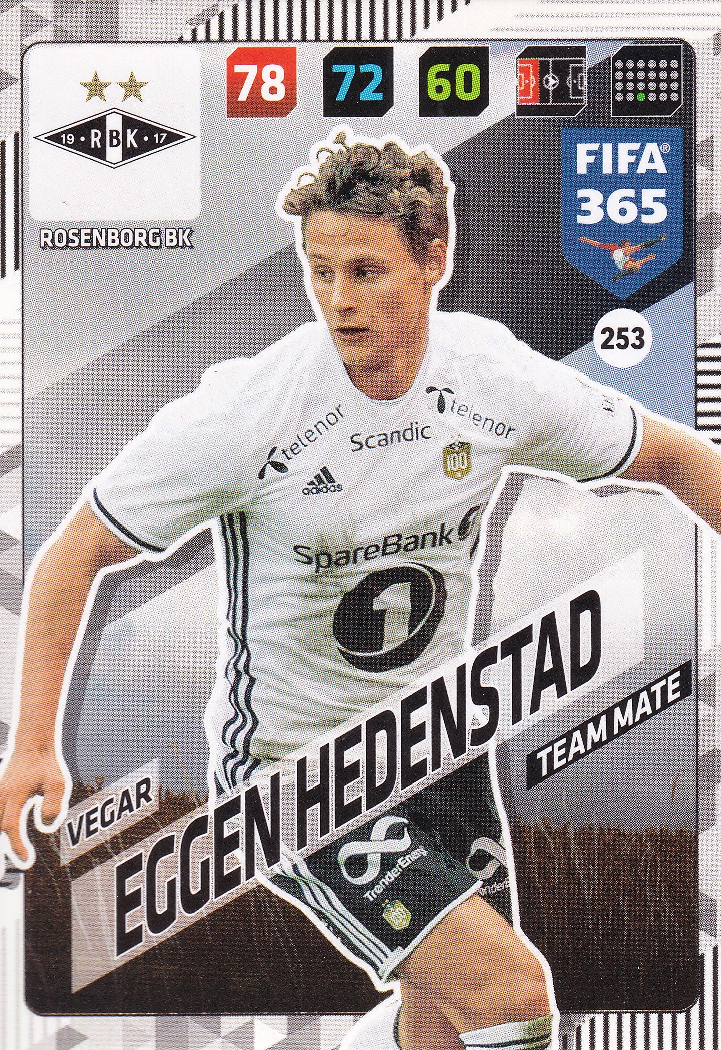 253. VEGAR EGGEN HEDENSTAD - ROSENBORG BK - TEAM MATE