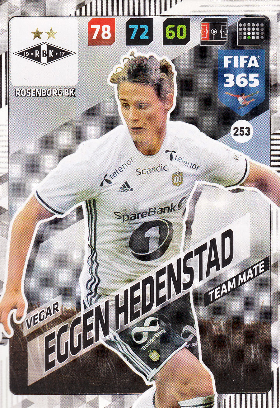 253. VEGAR EGGEN HEDENSTAD - ROSENBORG BK - TEAM MATE