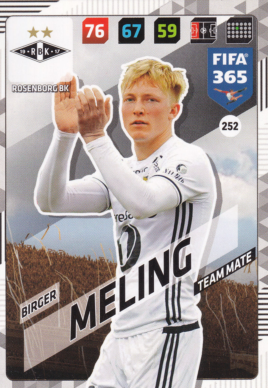 252. BIRGER MELING - ROSENBORG BK - TEAM MATE