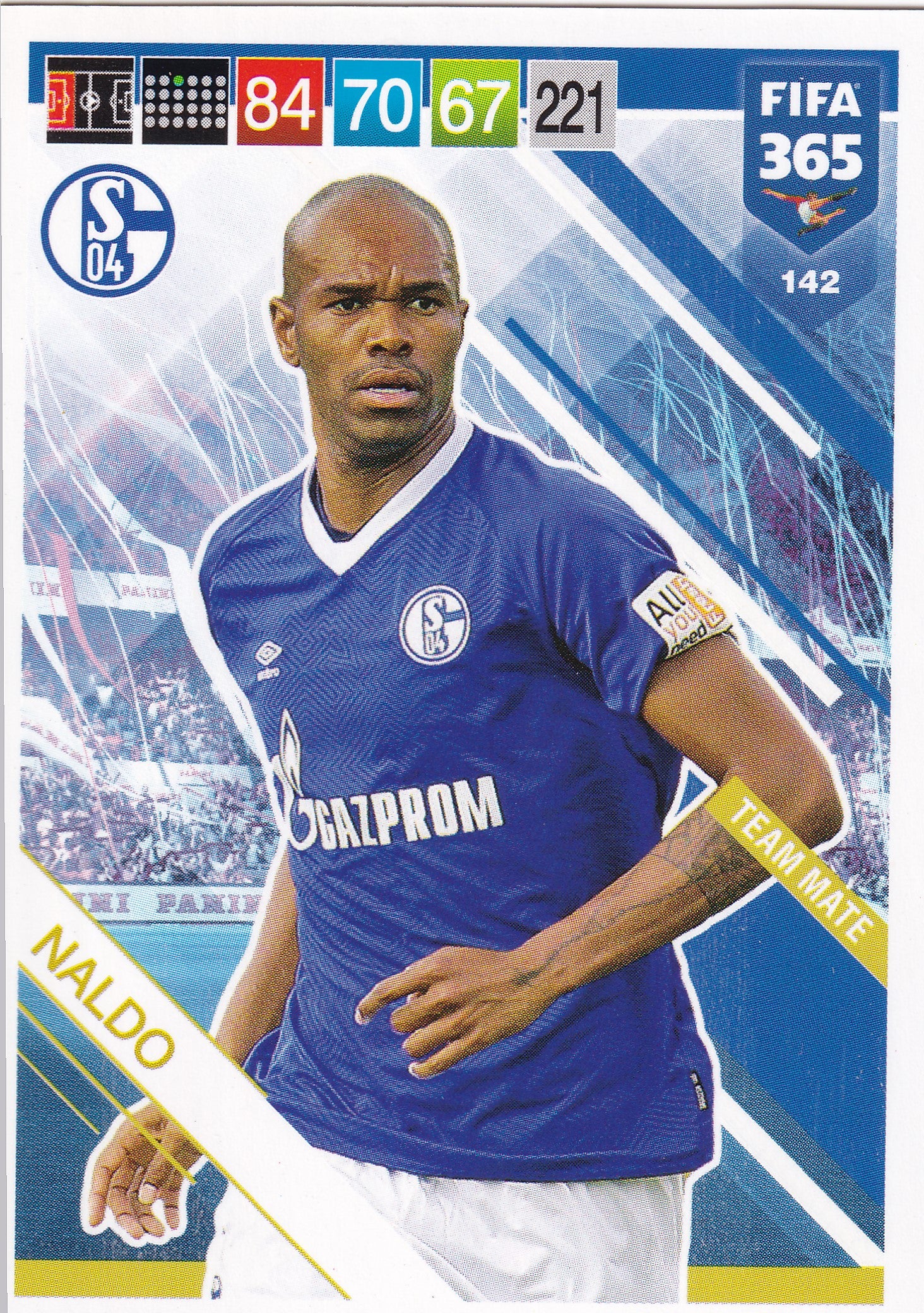 142. NALDO - SCHALKE 04 - TEAM MATE