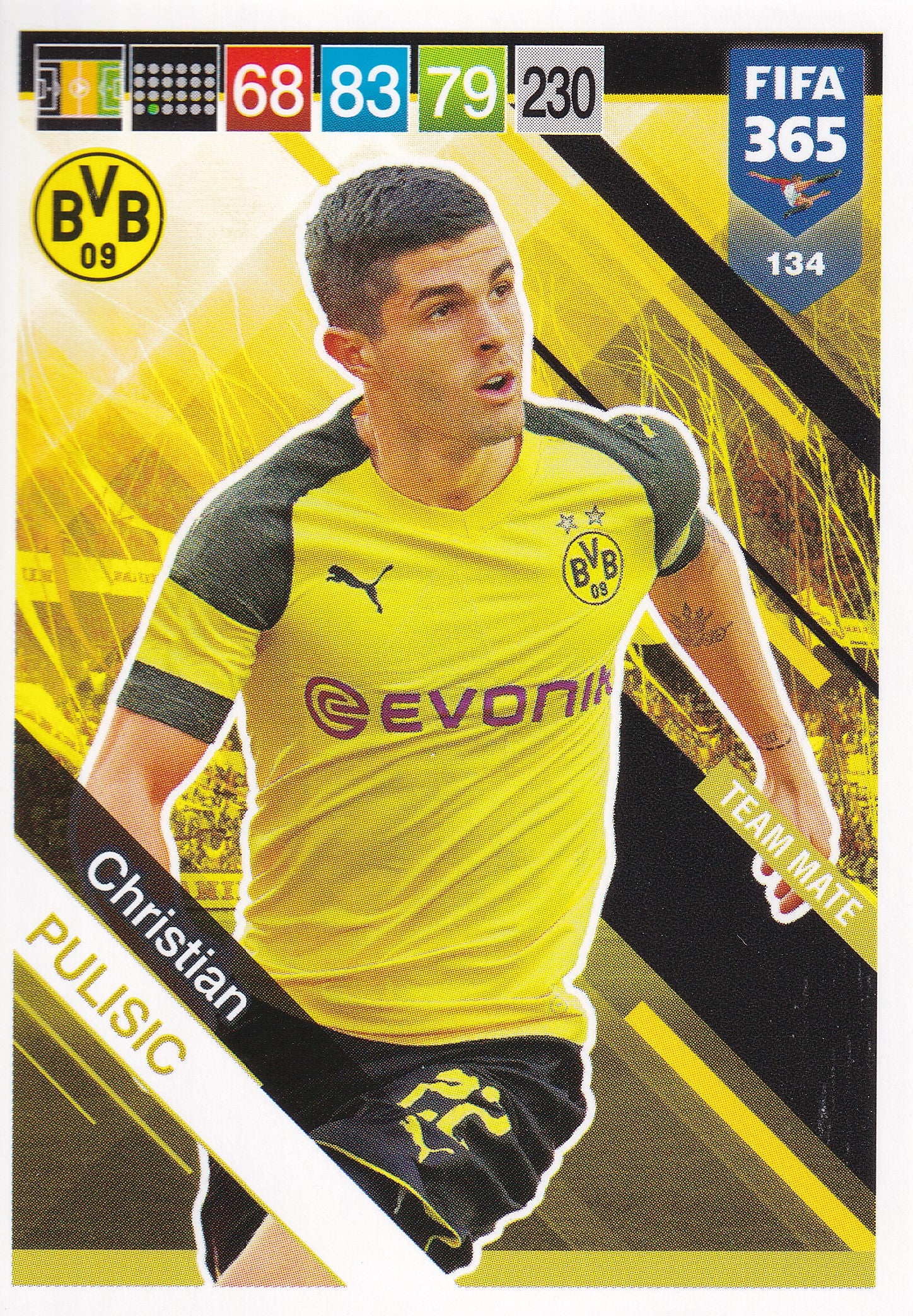 134. CHRISTIAN PULISIC - BORUSSIA DORTMUND - TEAM MATE