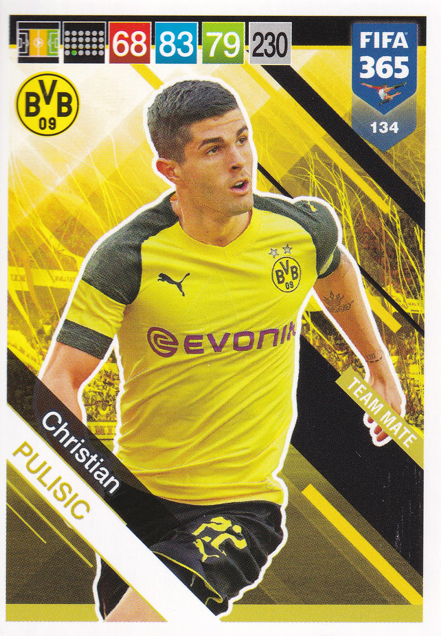 134. CHRISTIAN PULISIC - BORUSSIA DORTMUND - TEAM MATE