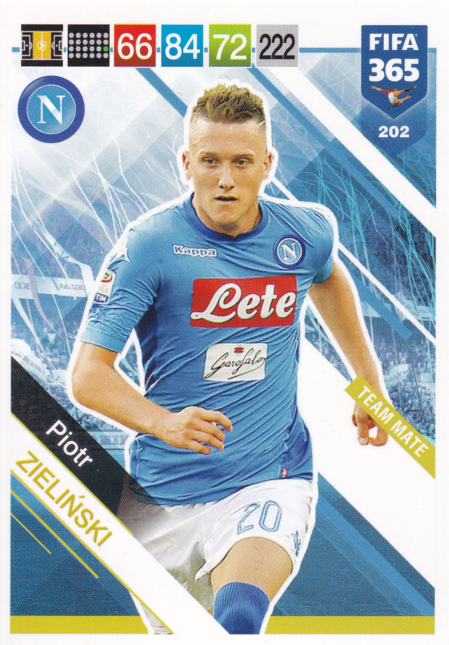 202. PIOTR ZIELINSKI - NAPOLI - TEAM MATE