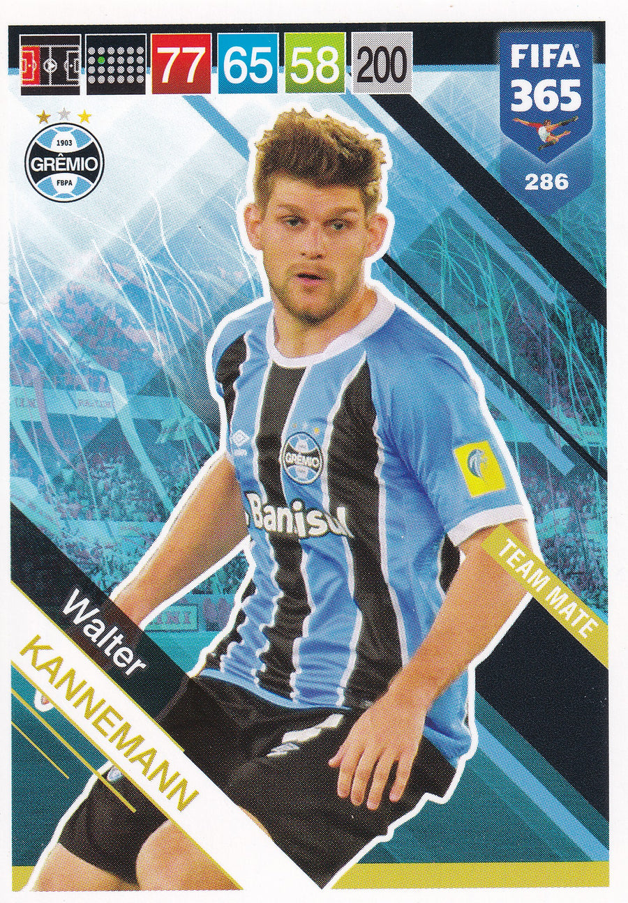 286. WALTER KANNEMANN - GRÊMIO - TEAM MATE
