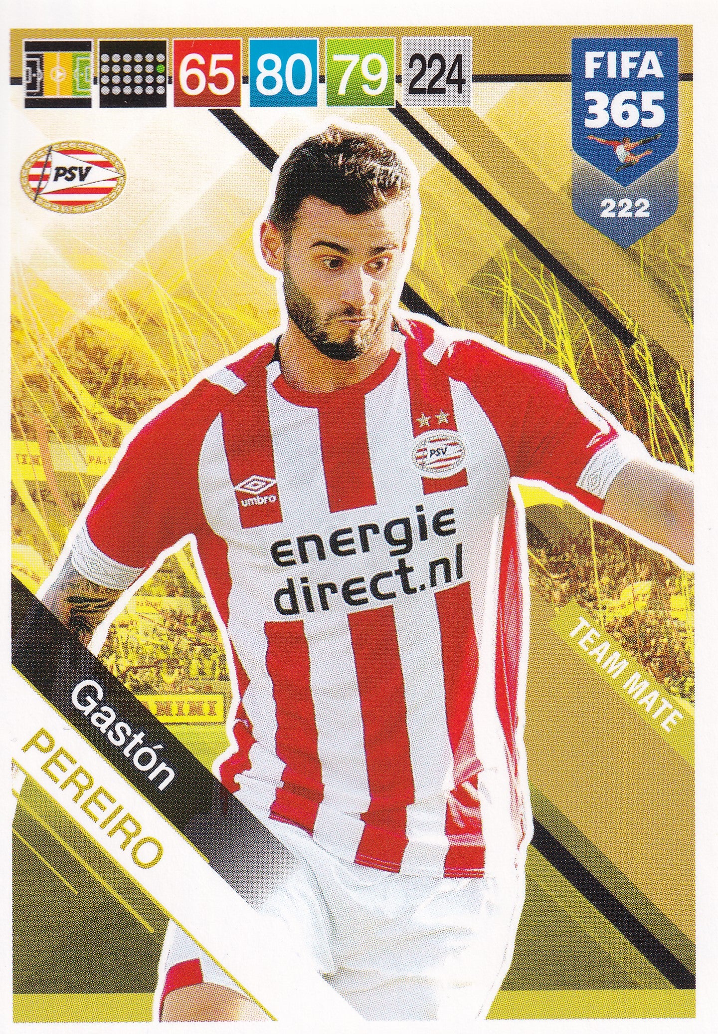 222. GASTON PEREIRO - PSV EINDHOVEN - TEAM MATE