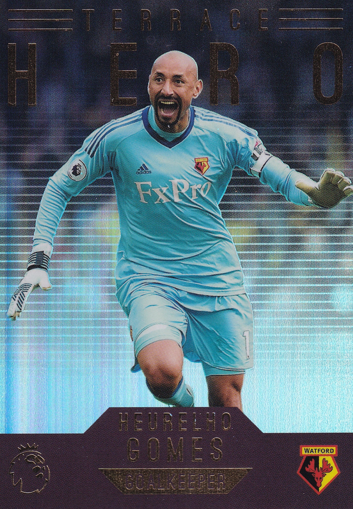 168. HEURELIO GOMES - WATFORD - TERRACE HERO