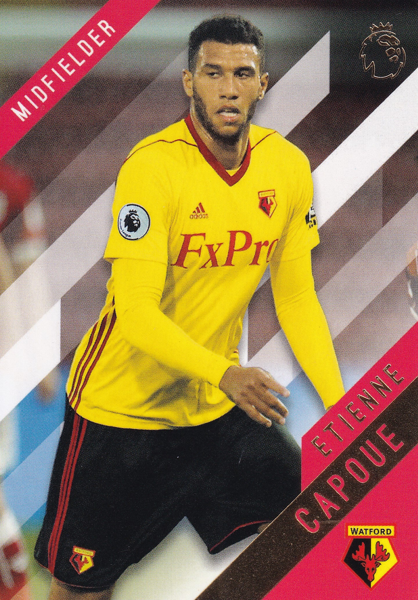 134. ETIENNE CAPOUE - WATFORD