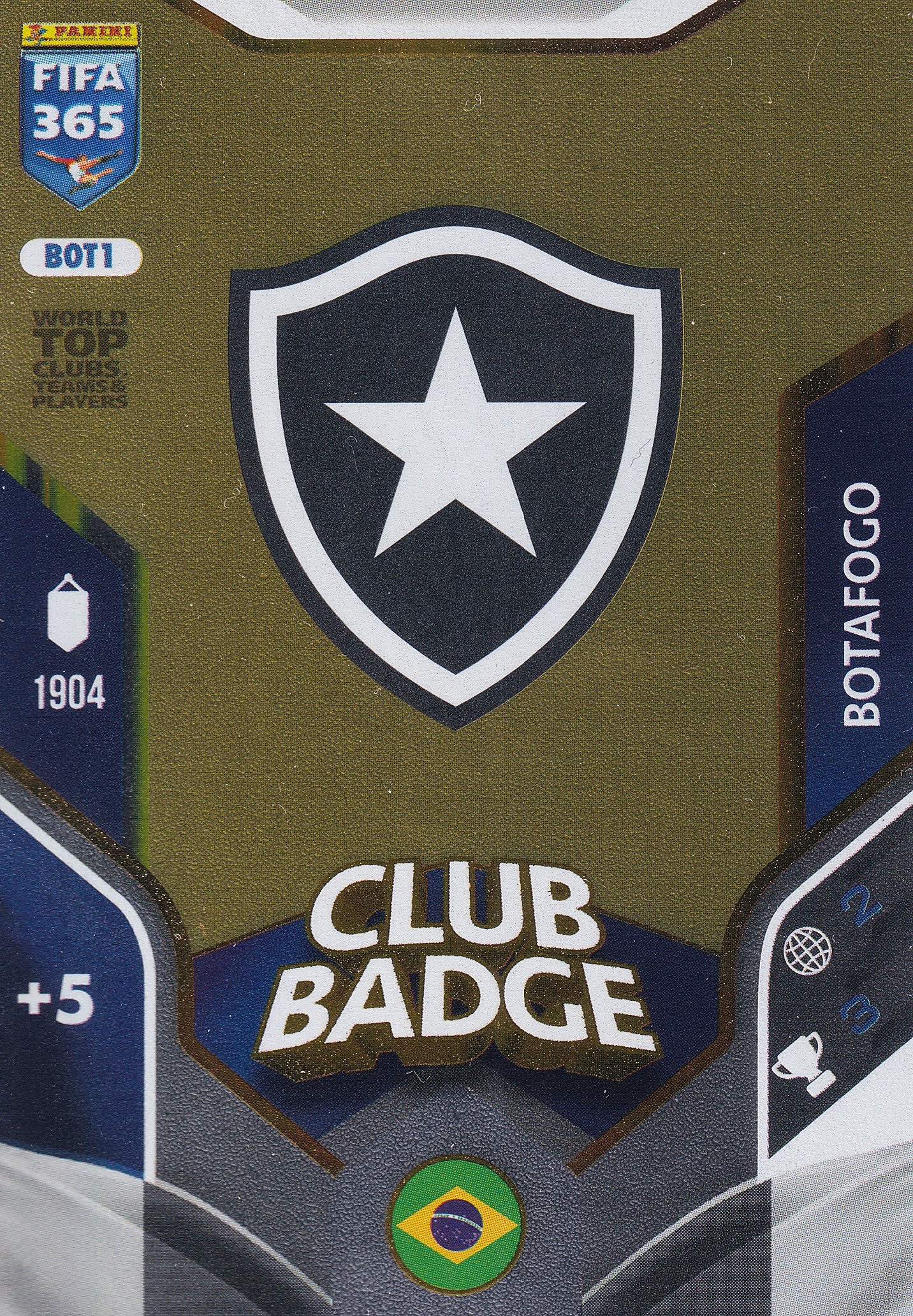 010 - BOT1. BOTAFOGO - CLUB BADGE