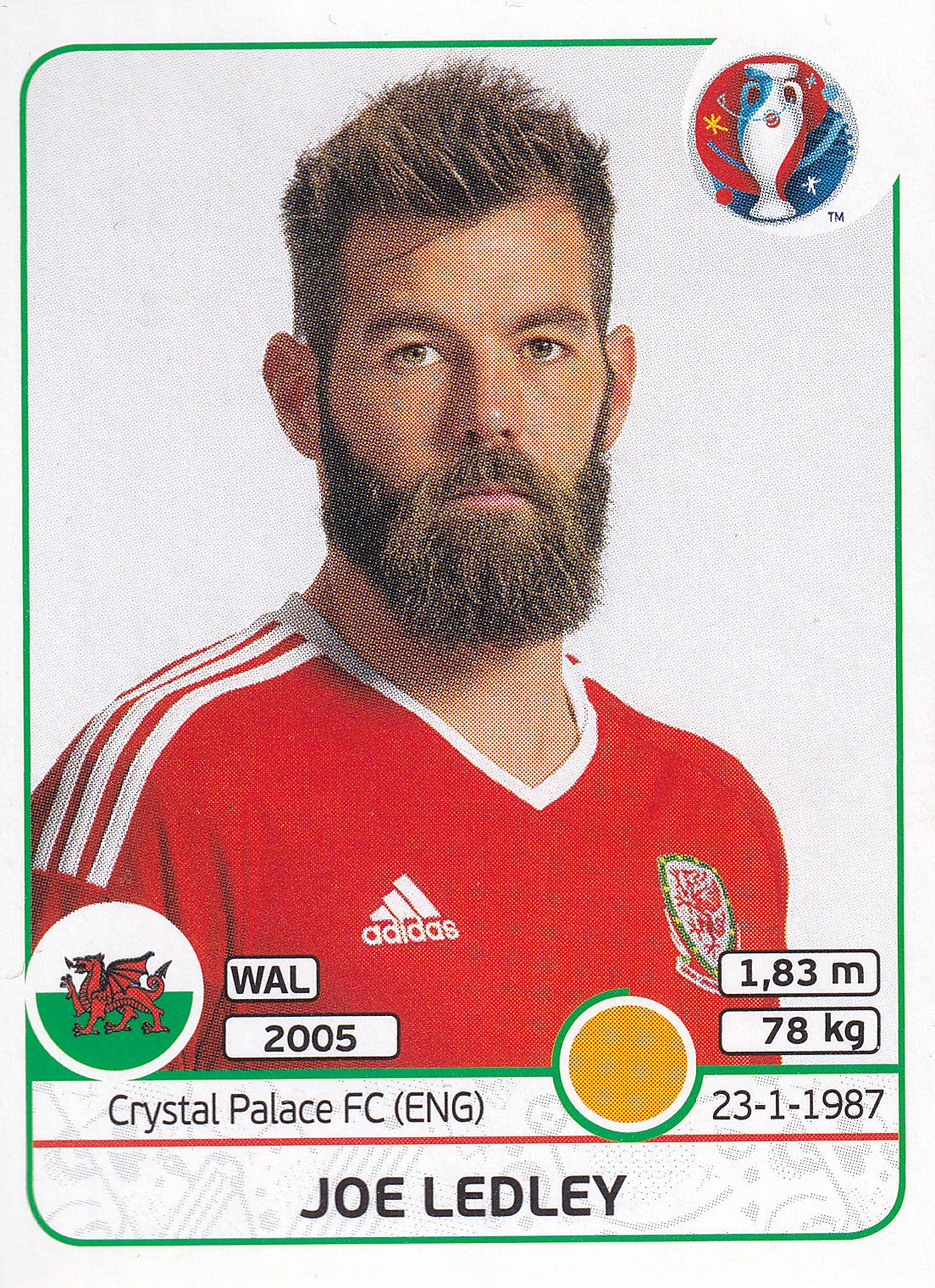 192. JOE LEDLEY - WALES