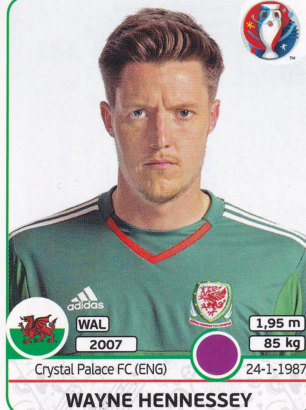 181. WAYNE HENNESSEY - WALES