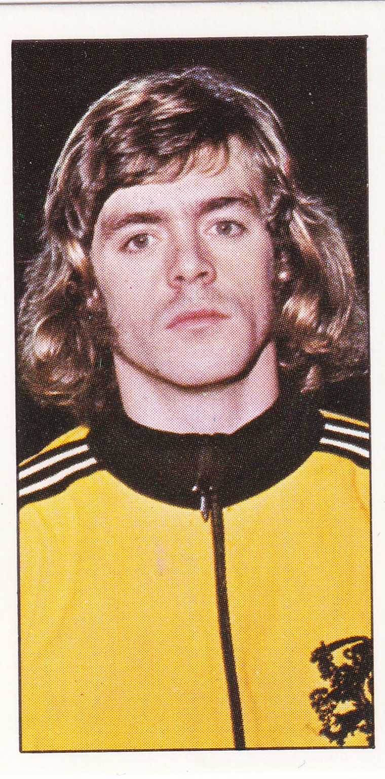 013. JOHNNY REPP - NEDERLAND