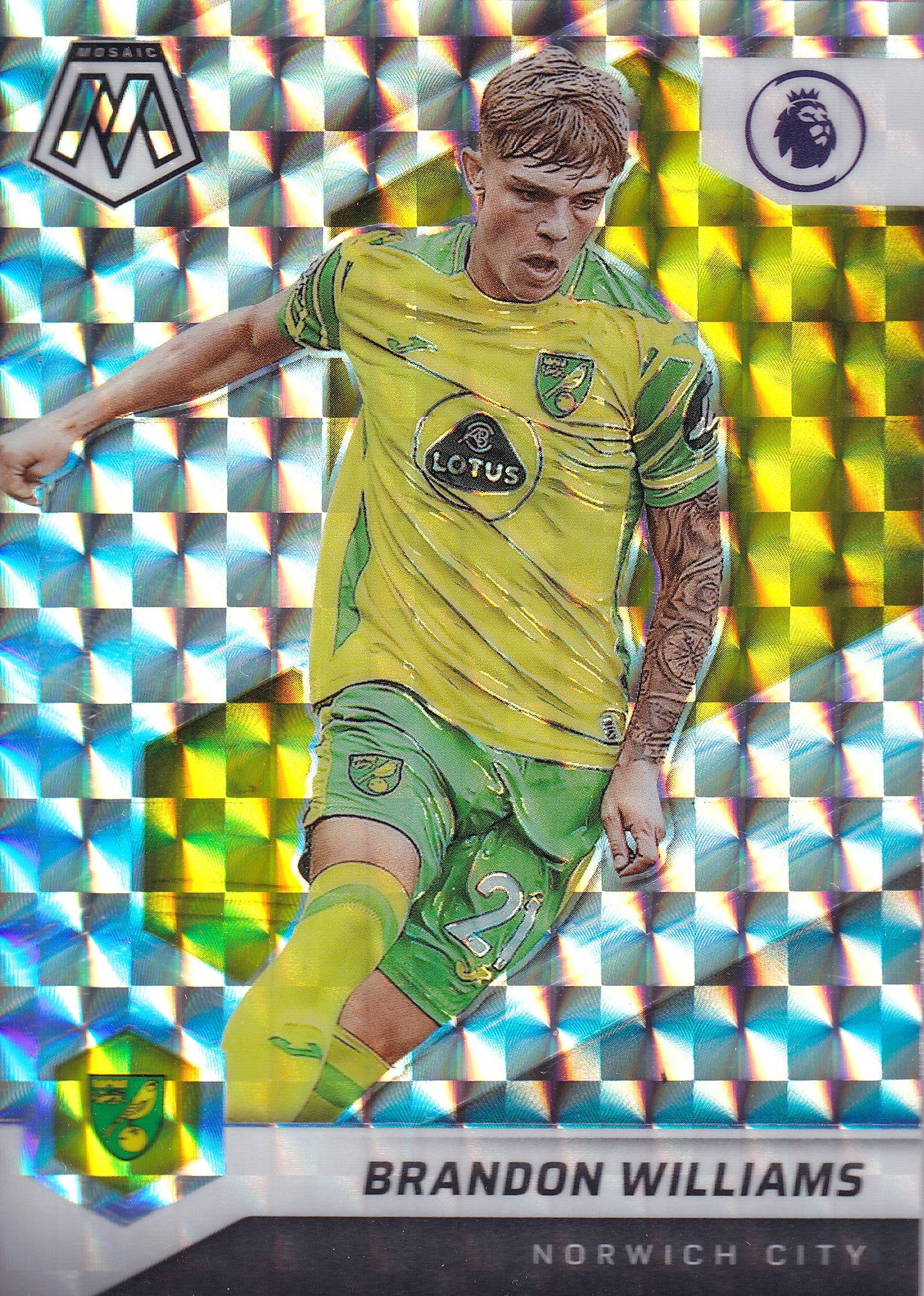 093. BRANDON WILLIAMS - NORWICH CITY - MOSAIC