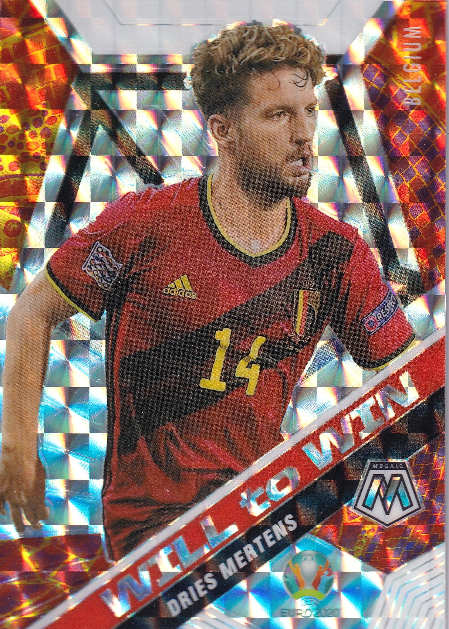 002. DRIES MERTENS - BELGIUM - WILL TO WIN - MOSAIC