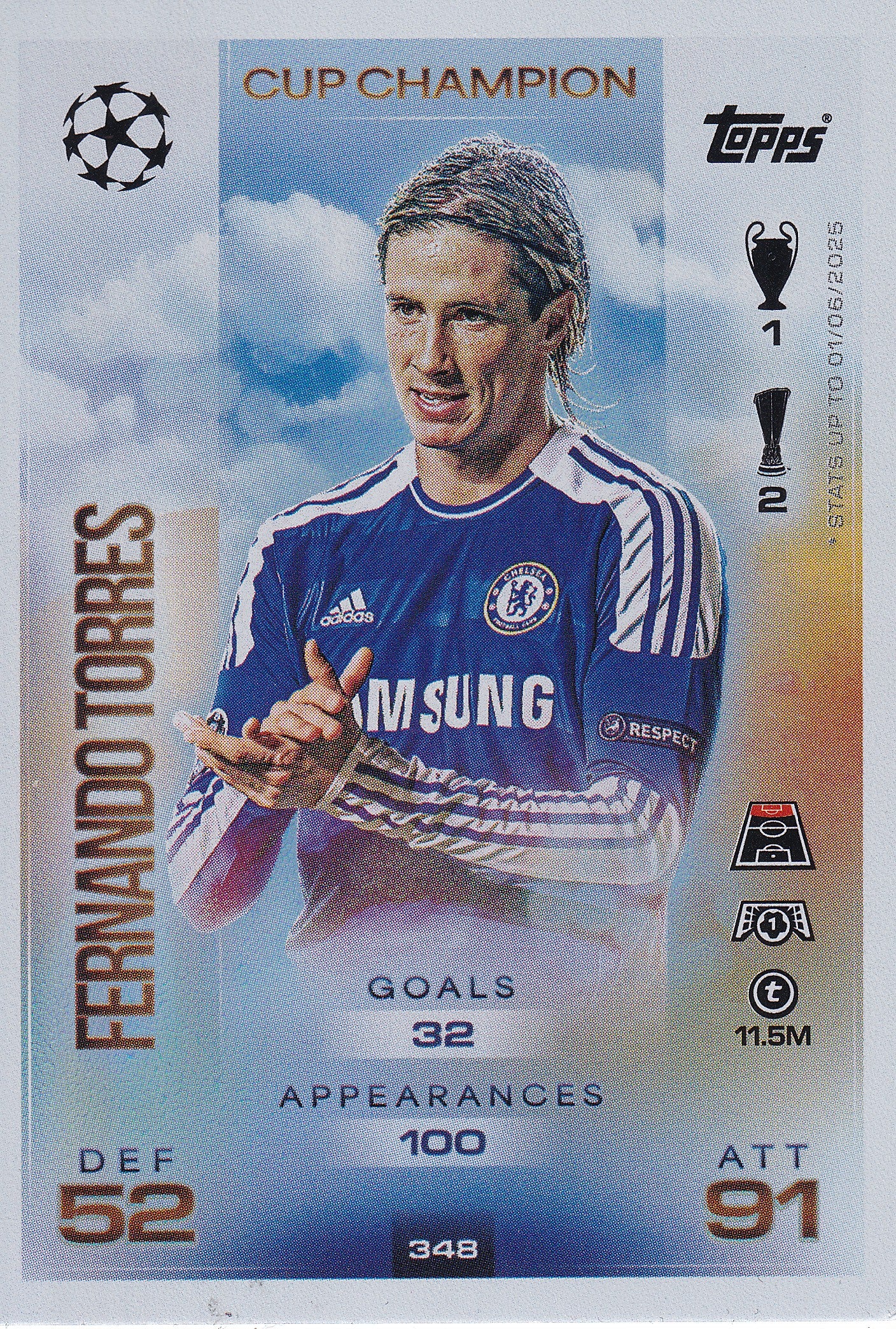 348. FERNANDO TORRES - CHELSEA - CUP CHAMPION