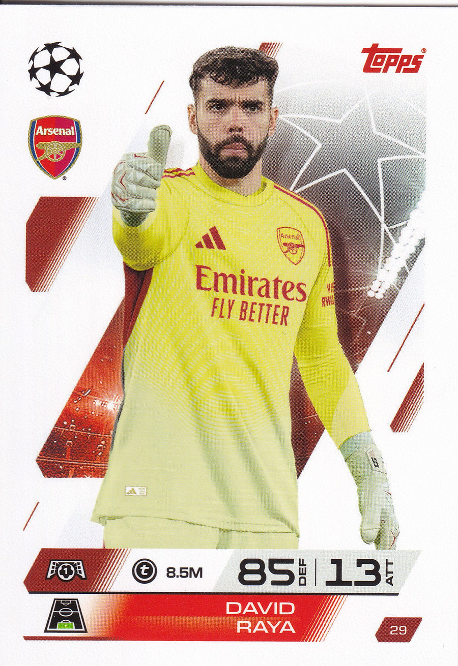 029. DAVID RAYA - ARSENAL FC