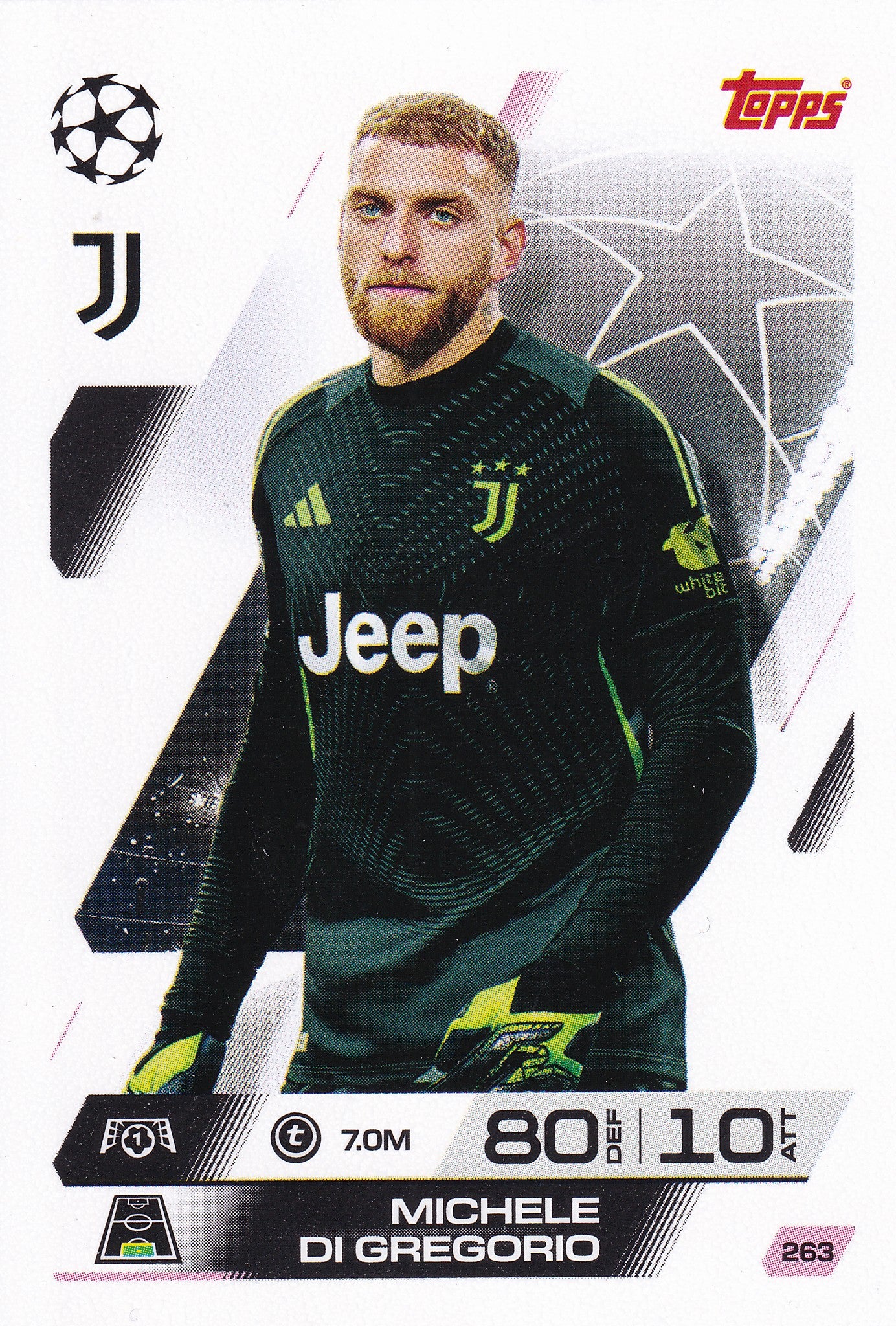 263. MICHELE DI GREGORIO - JUVENTUS