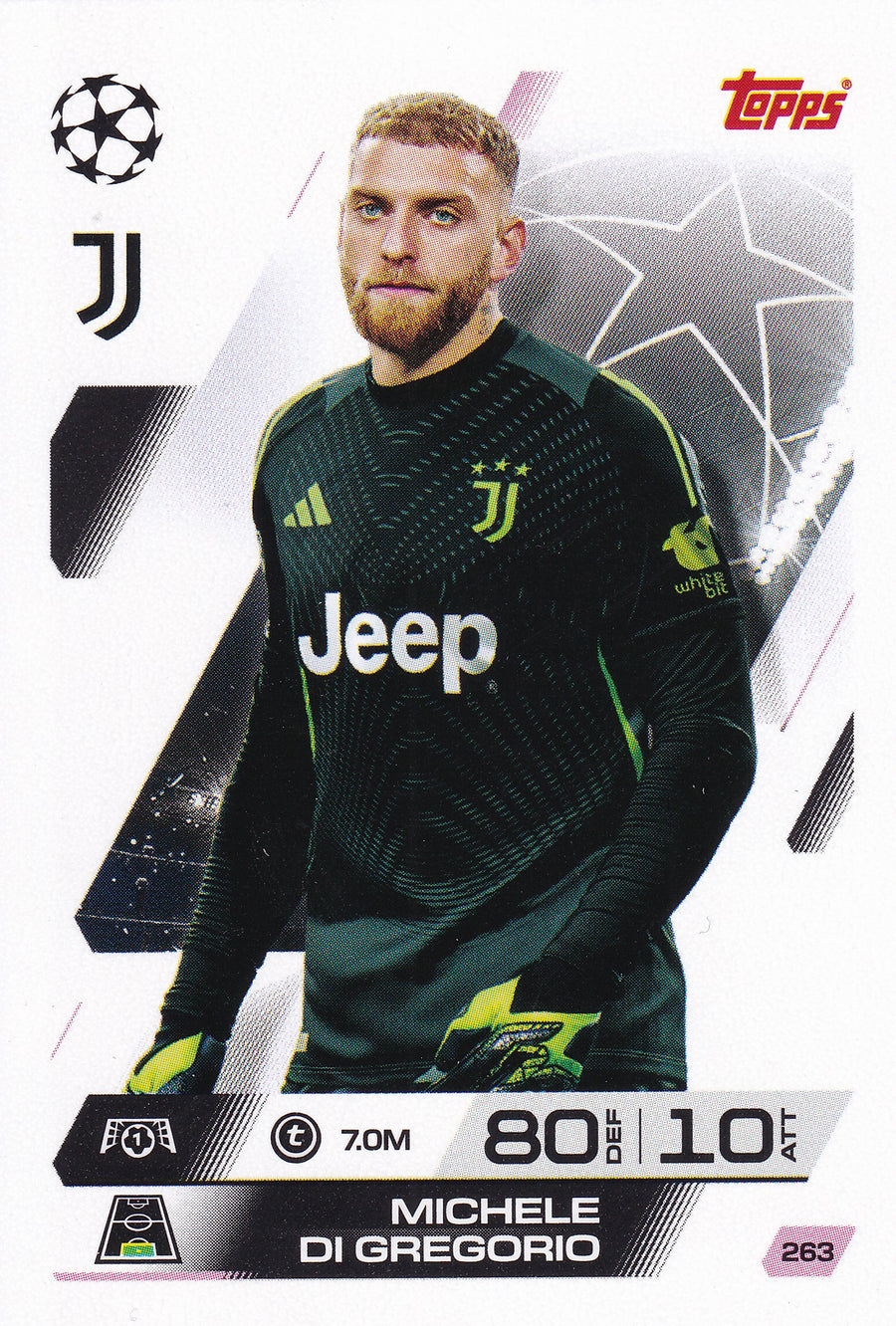 263. MICHELE DI GREGORIO - JUVENTUS